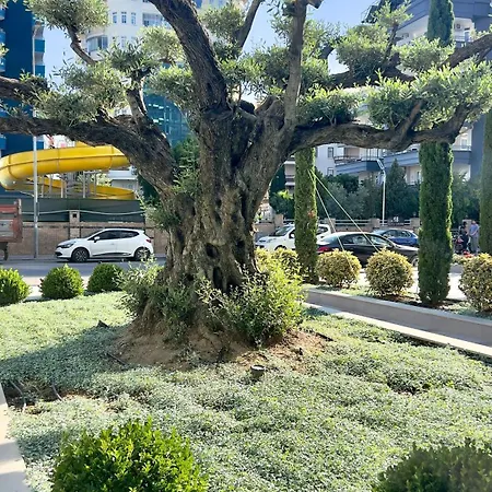 Liga6768 посуточная аренда 2-комнатной квартиры в комплексе со зоной 150 м от пляжа, тосмур Алания